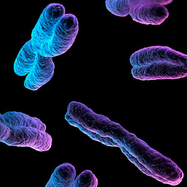 Хромосомные патологии при беременности
