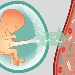 Генетический анализ крови при беременности