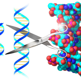 Консультация генетика при беременности